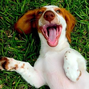 Meet your Posher, Dana